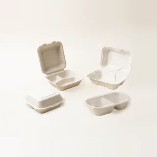 Sugarcane Boxes